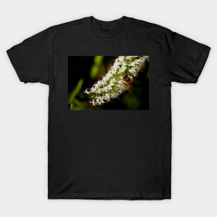 Honey Factory T-Shirt